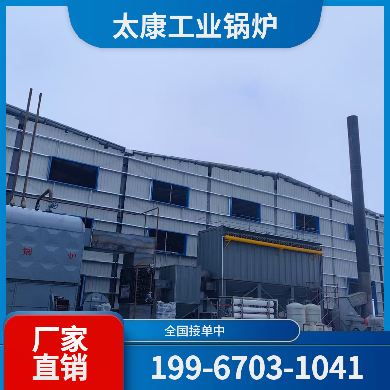 双河环保燃煤锅炉